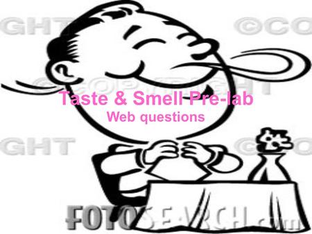 Taste & Smell Pre-lab Web questions.
