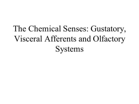The Chemical Senses: Gustatory, Visceral Afferents and Olfactory Systems.