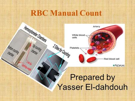Prepared by Yasser El-dahdouh