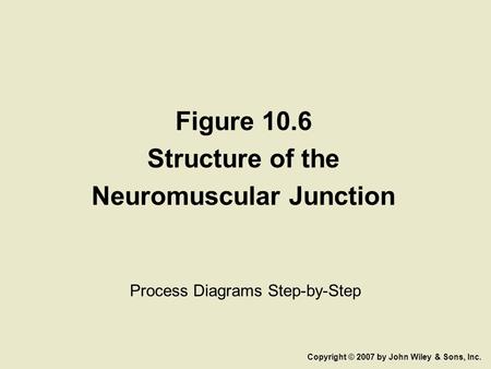Figure 10.6 Structure of the Neuromuscular Junction Process Diagrams Step-by-Step Copyright © 2007 by John Wiley & Sons, Inc.