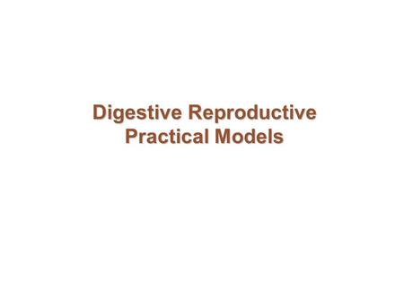 Digestive Reproductive Practical Models