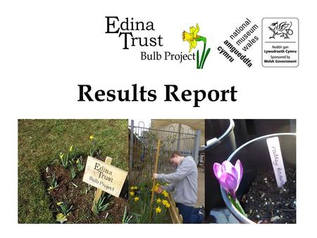 Results Report. Super Scientists! The Edina Trust would like to thank everyone that worked so hard planting their bulbs, observing and sending in their.