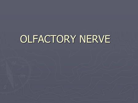 OLFACTORY NERVE. Introduction ► First cranial nerve ► One of the two cranial nerves which doesn ’ t course through the posterior fossa ► Only neurons.