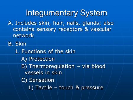 Integumentary System A. Includes skin, hair, nails, glands; also contains sensory receptors & vascular network B. Skin 1. Functions of the skin A) Protection.