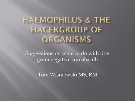 Suggestions on what to do with tiny gram negative coccobacilli Tom Wisniewski MS, RM.