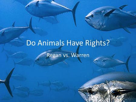 Do Animals Have Rights? Regan vs. Warren. Steve Jobs Joe Blow BDO / Chimp Dolphin Dog Tuna Clam Equal inherent value Equal right to be treated with respect.