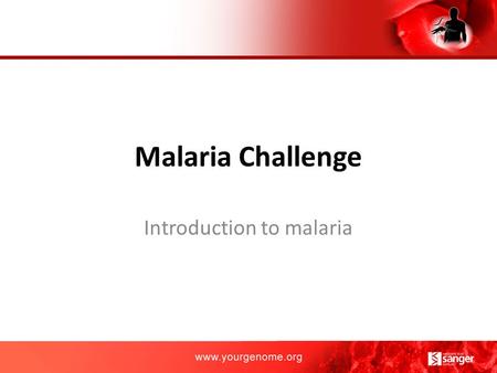 Malaria Challenge Introduction to malaria. Malaria is a life threatening disease which is transmitted to humans through the bites of infected female Anopheles.