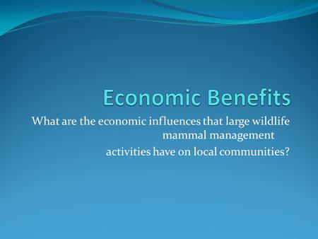 What are the economic influences that large wildlife mammal management activities have on local communities?