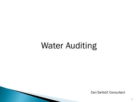 Water Auditing 1 Cari DeWolf, Consultant. Mindsets… Budgets… Oversight… 2 Photo by Cari DeWolf, El Dorado Irrigation District.