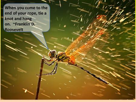 When you come to the end of your rope, tie a knot and hang on. ~Franklin D. Roosevelt.