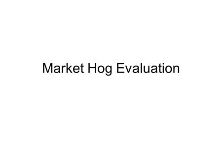 Market Hog Evaluation.