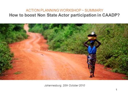 1 ACTION PLANNING WORKSHOP ~ SUMMARY How to boost Non State Actor participation in CAADP? Johannesburg, 20th October 2010.