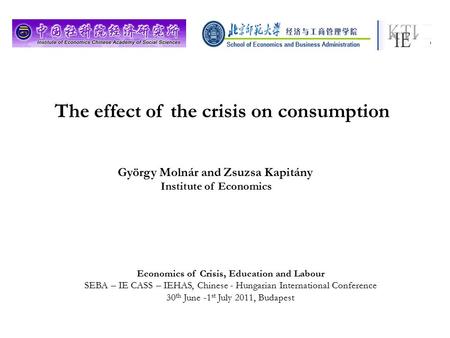 The effect of the crisis on consumption György Molnár and Zsuzsa Kapitány Institute of Economics Economics of Crisis, Education and Labour SEBA – IE CASS.