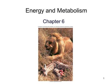 Energy and Metabolism Chapter 6.