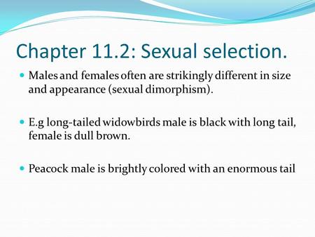 Chapter 11.2: Sexual selection. Males and females often are strikingly different in size and appearance (sexual dimorphism). E.g long-tailed widowbirds.