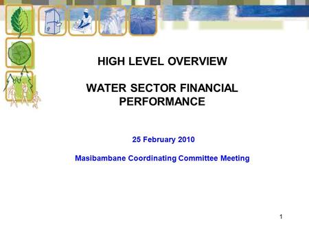 1 HIGH LEVEL OVERVIEW WATER SECTOR FINANCIAL PERFORMANCE 25 February 2010 Masibambane Coordinating Committee Meeting.