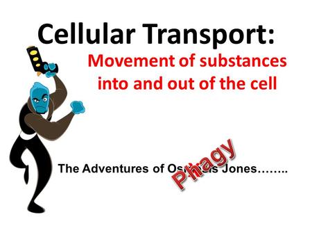 Cellular Transport: Movement of substances into and out of the cell The Adventures of Osmosis Jones…….. X.