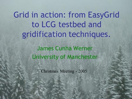 Grid in action: from EasyGrid to LCG testbed and gridification techniques. James Cunha Werner University of Manchester Christmas Meeting - 2005.