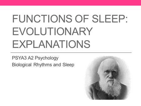 Functions of Sleep: Evolutionary Explanations
