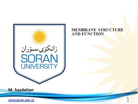 Www.soran.edu.iq M. Saadatian MEMBRANE STRUCTURE AND FUNCTION 1.