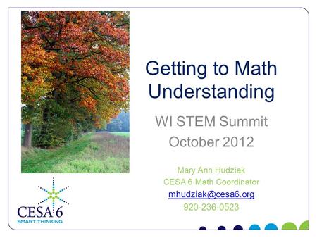 Getting to Math Understanding WI STEM Summit October 2012 Mary Ann Hudziak CESA 6 Math Coordinator 920-236-0523.