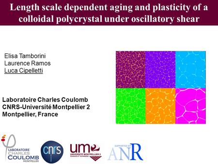 Length scale dependent aging and plasticity of a colloidal polycrystal under oscillatory shear Elisa Tamborini Laurence Ramos Luca Cipelletti Laboratoire.