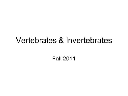 Vertebrates & Invertebrates Fall 2011. Vertebrates Backbone to which protects nervous system Enlarged brain Gills or Lungs.