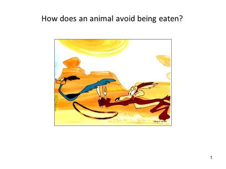 1 How does an animal avoid being eaten?. 2 5/27/08: Behavioral adaptations for survival Lecture objectives: 1.Be able to generate hypotheses and predictions.