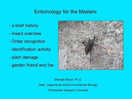 Entomology for the Masters - a brief history - insect overview - Order recognition - identification activity - plant damage - garden friend and foe Michael.