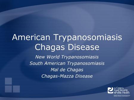 American Trypanosomiasis Chagas Disease New World Trypanosomiasis South American Trypanosomiasis Mal de Chagas Chagas-Mazza Disease.