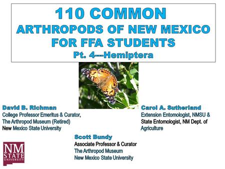 Order Hemiptera Earlier editions of ‘100 Common Insects of New Mexico’ showed two Orders---Hemiptera AND Homoptera More recent studies of these Orders.
