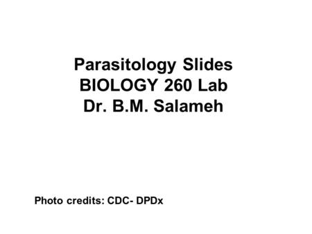 Parasitology Slides BIOLOGY 260 Lab Dr. B.M. Salameh