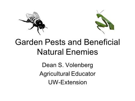 Garden Pests and Beneficial Natural Enemies Dean S. Volenberg Agricultural Educator UW-Extension.