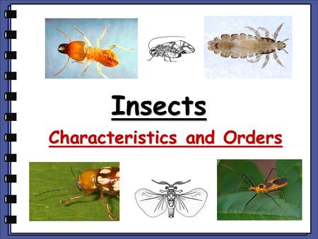 Characteristics and Orders