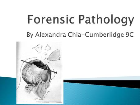 By Alexandra Chia-Cumberlidge 9C.  a part of forensic science used to determine the cause of death by the examination of a corpse.  Forensic pathologists.