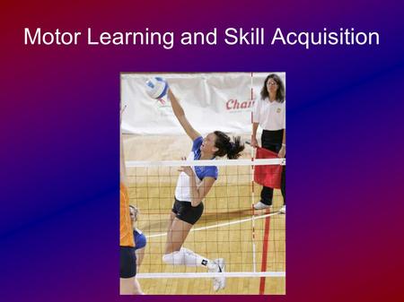 Motor Learning and Skill Acquisition. Divisions of Motor Activity Motor activity can be divided into two divisions:  Automatic motor activity  Controlled.