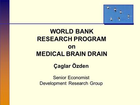 WORLD BANK RESEARCH PROGRAM on MEDICAL BRAIN DRAIN Çaglar Özden Senior Economist Development Research Group.