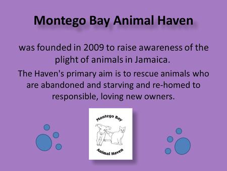 Montego Bay Animal Haven was founded in 2009 to raise awareness of the plight of animals in Jamaica. The Haven's primary aim is to rescue animals who are.