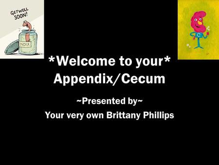 *Welcome to your* Appendix/Cecum ~Presented by~ Your very own Brittany Phillips.