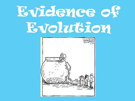 Evidence of Evolution. As scientists we must review all of the evidence before confirming a theory There is a tremendous amount of evidence to support.