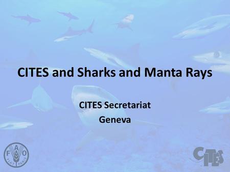 CITES and Sharks and Manta Rays CITES Secretariat Geneva.
