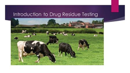 Introduction to Drug Residue Testing.  Introduction  Basic Lab Set Up  Sampling  Testing Demonstrations  Record Keeping  Proficiency Testing (Split.