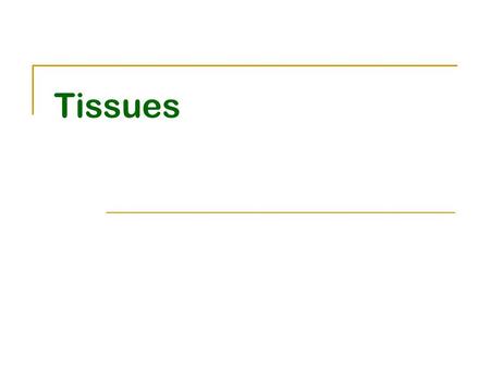 Tissues. What are the four main types or categories of tissues? 1) Epithelial Tissue 2) Connective Tissue 3) Muscular Tissue 4) Nervous Tissue.
