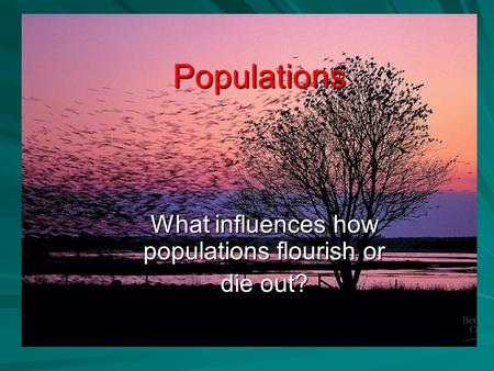 Populations What influences how populations flourish or die out?