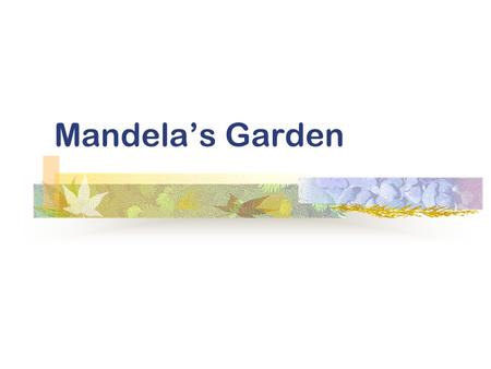 Mandela’s Garden Background Information Warming-up questions Text appreciation Structure analysis In-class discussion Language understanding Topics for.