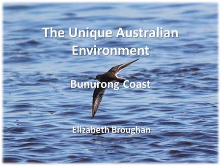 The Unique Australian Environment Bunurong Coast Elizabeth Broughan.