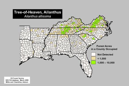 Tree-of-Heaven, Ailanthus Ailanthus altissima 1,000 – 10,000 < 1,000 Not Detected Forest Acres in a County Occupied US Forest Service SRS FIA database.