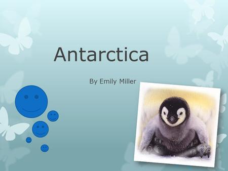 Antarctica By Emily Miller.