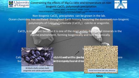 Constraining the effects of Mg:Ca ratio and temperature on non- biogenic CaCO 3 polymorph precipitation Caroline E. Miller 1, Uwe Balthasar 1, Maggie Cusack.