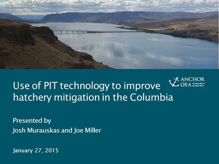 PIT Technology and Hatchery Mitigation J. Murauskas and J. Miller 0 Use of PIT technology to improve hatchery mitigation in the Columbia Presented by Josh.